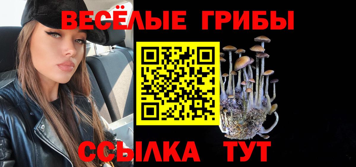 Галлюциногенные грибы Psilocybe Аргун